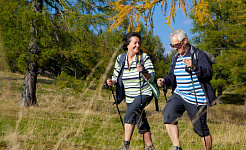 An older couple use trekking sticks while hiking.