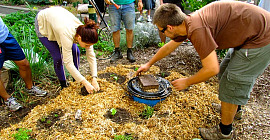 Back to the Garden: Mulch, Mulch, and More Mulch